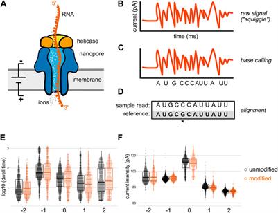 Modification mapping by nanopore sequencing